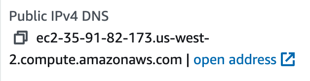 A screenshot of the address, which is labelled Public IPv4 DNS